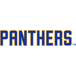 Pittsburgh Panthers Wordmark Logo 2020 - Present